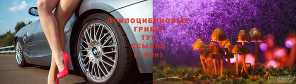 дмт Алексеевка